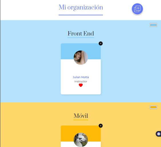 Proyecto Mi organización